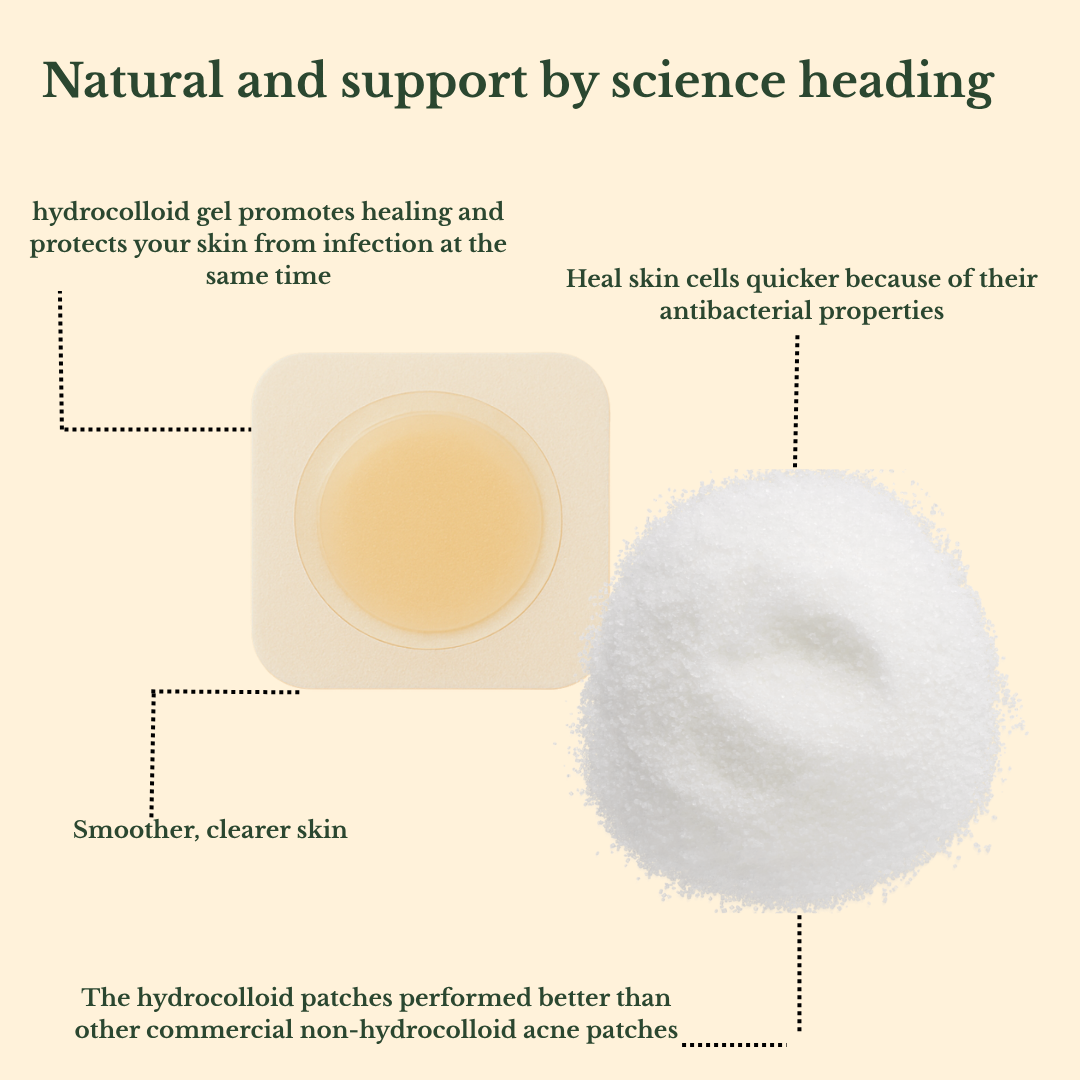 Fior – 24 Invisible Hydrocolloid Acne Patches | Tea Tree & Salicylic Acid